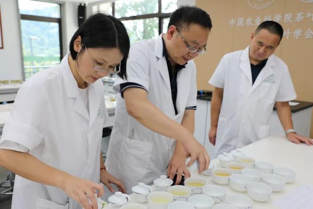 茶叶客户端安装茶叶批发的进货渠道最便宜的地方-第2张图片-太平洋在线下载